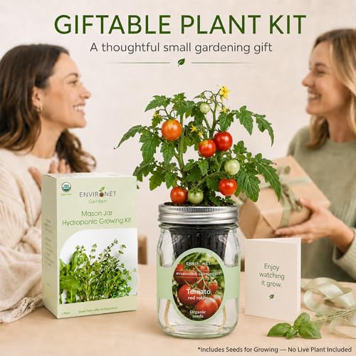 Hydroponic Tomato Growing Kit, Self-Watering Mason Jar Tomato Garden Starter Kit Indoor, Grow Tomatoes from Organic Seeds (Red Robin Tomato) - color: Tomato- Red Robin
