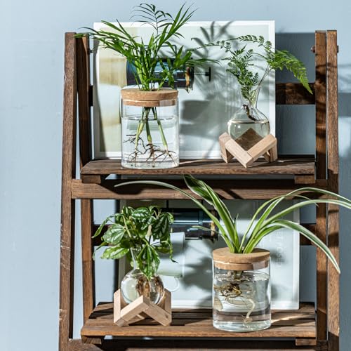 Plant Propagation Station, 2 Style Glass Planter Terrarium Set for Hydroponic Plants | Home Office Tabletop Decor, Gardening Gifts for Women, Mom, Plant Lovers (4)
