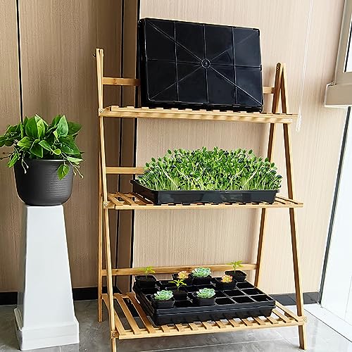 RooTrimmer 5 Pack Nursery Potting Tray, Carrying and Holding Plant Tray for Seeds Starting Pot, Collecting Drainage Water(Black) - color: Black, size: Holding Trays-5P