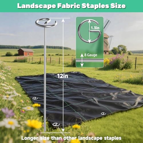 12 Inch 8 Gauge Circle Top Landscape Fabric Staples, HKKZYT 25/50/100 Pcs Galvanized Landscape Fabric Pins, Gardening Essentials Garden Weed Barrier Stakes Sod Staples for Outdoor (25pcs)