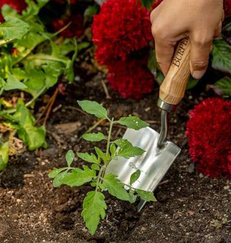 Burpee 13" Stainless Steel Trowel Durable Long Lasting Garden Tool Leather Wrist Strap 5" Handle, 10 Year Warranty, Oak - color: Oak, style: Trowel