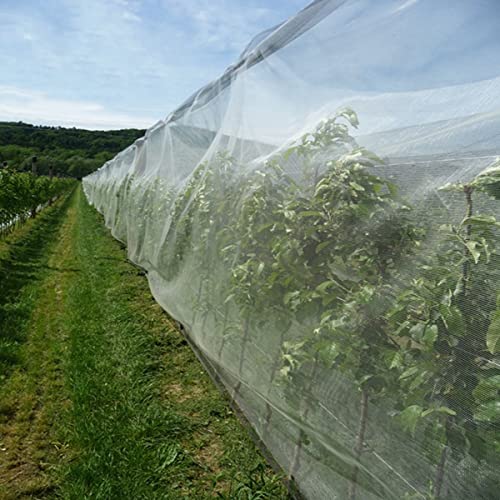 Garden Pest Netting, 10x50Ft Insect Barrier Plant Covers Net - size: 10x50ft Reinforced Netting