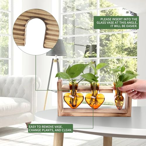 Plant Terrarium Propagation Stations Hydroponics - color: Amber