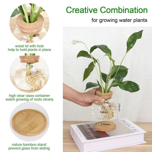 Plant Propagation Station,Hydroponic Glass Container Vase Jars, with Wooden Saucer for Desks, Houses, Garden Decorations, Home Kitchen Decorations and Gifts for Plant Lovers (2)