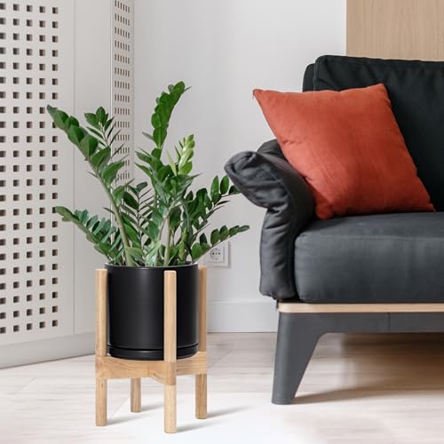 D'vine Dev Ceramic Pot with Natural Wood Stand, Black, 8 in, 55-B-N-2 - color: Black Pot + Natural Stand, size: 8 Inch