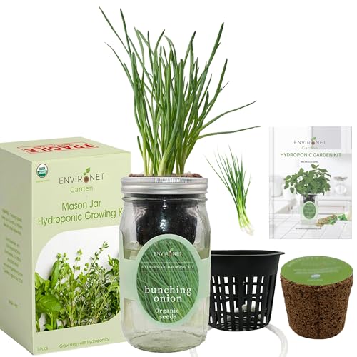 Hydroponic Vegetable Growing Kit, Self-Watering Mason Jar Vegetable Garden Starter Kit Indoor, Grow Bunching Onion from Organic Seeds (bunching Onion) - color: bunching onion