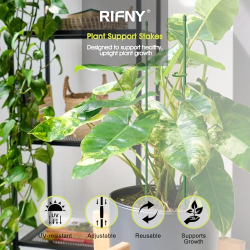 RIFNY Plant Stakes for Indoor Plants, 14 Inch Plant Support Stakes, 10 PCS - color: Green, size: 14IN 10PCS
