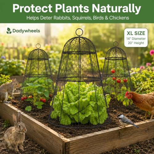 Easy-Snap Open Design Chicken Wire Cloche (6-Pack) - Adjustable Garden Plant Protectors from Birds & Animals for Large Plants & Flowers,14" D x 20" H - size: XL / 14"D x 20"H