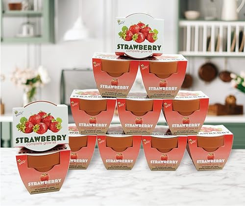 Buzzy Seeds Alpine Strawberry Grow Kit 12-Pack, Terracotta Pots, Fruit - color: 12pk Alpine Strawberry