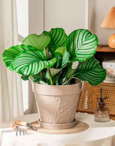 Melphoe Plant Pots Indoor with Drainage & Saucer, 2Pack 10 inch Flower Pots Outdoor Planters for Indoor Plants Garden Home Decor Cactus Succulent, Rigid Plastic (Imitation-Terracotta) Vine-Embossed - color: Undecorated Pottery Color, size: 10 inch
