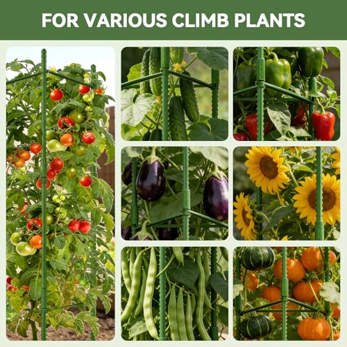 Halatool 8 Pack Tomato Cages for Garden, Up to 48in (4FT) Trellis - color: 8 Pack, size: 48 Inches