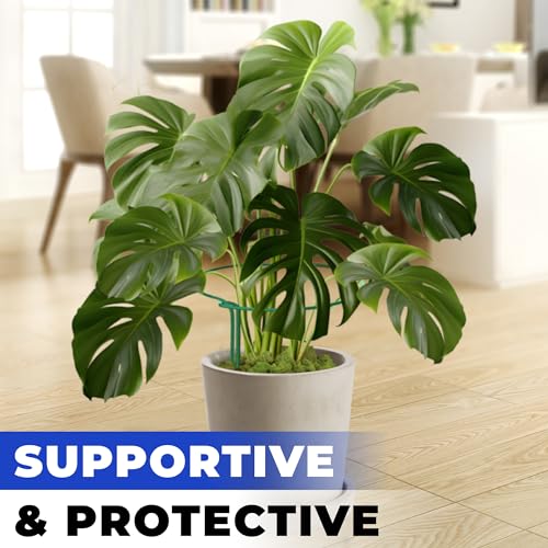 Tall Plant Support Stakes for Indoor and Outdoor - Peony Cages and Supports - Plant Cage Ring for Potted Flower - Peony, Tomato, Hydrangea, Rose Bush 10" W x 16" H (6 Pack) - size: 6 Pack - 10'' Wide x 16'' High