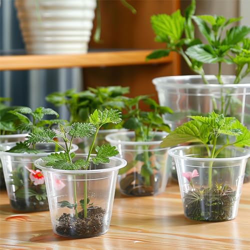 RAOOKIF 30 Pack 1 Gallon Pots with Drainage Holes, 7 Inch Clear Nursery pots, 1 Gallon Plastic Plant Pots for Seedlings, Clear Seed Starters, and Flower Planting - size: 7 Inch