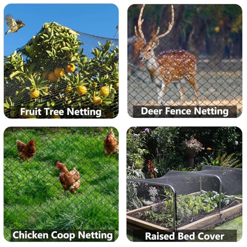 POYEE 50x50ft Bird Netting, 1 inch Mesh, Heavy Duty Garden Netting - size: 50 x 50 FT