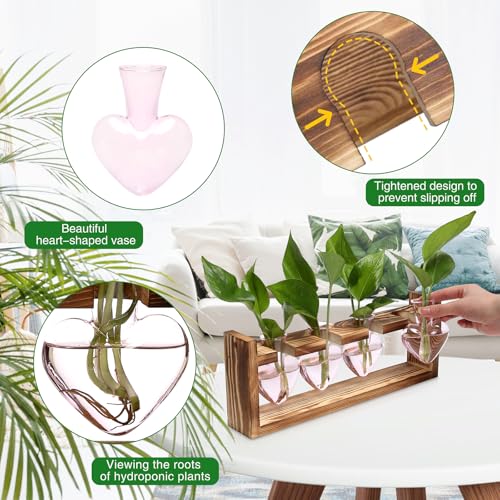 Plant Propagation Stations Heart Plant Terrarium Kit - color: Pink