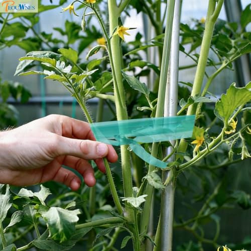 300 FEET x 1/2" 4mil Thick Stretch Non-Adhesive Tie Tape, Green Plant Garden Tie, Plant Ribbon for Branches, Climbing Planters, Flowers - size: 1/2 Inch Wide