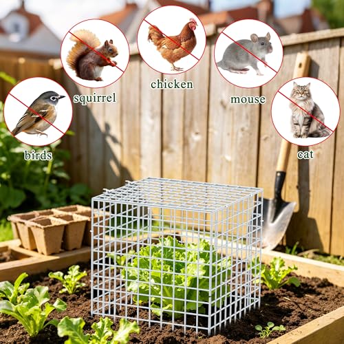 4Set 12"x12" Plant Protectors from Animals, All-Metal Plant Cage with Cover