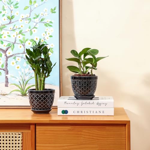 Sureasy Ceramic Plant Pots, 4.7 Inch Flower Pots for Indoor Plants, Succulent Pots with Saucer and Drainage Hole, Decorative Planter for Succulent, Cactus, Set of 4, Black - color: Black, size: 4.7 inch
