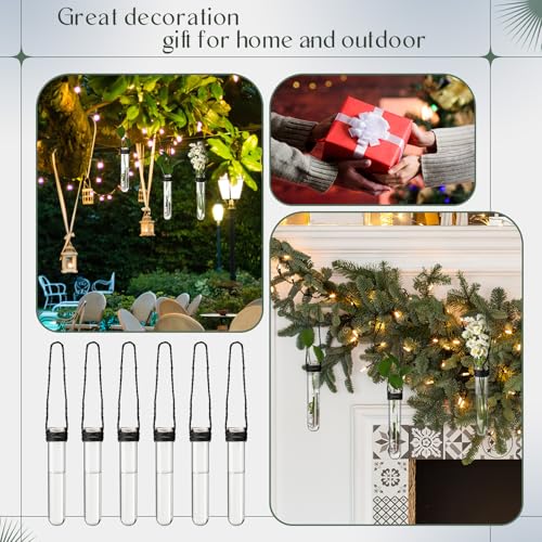 Baderke 12 Pack Plastic Hanging Propagation Station Tubes, Black - color: Black
