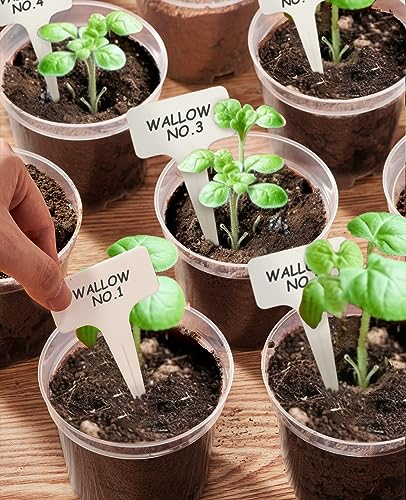 homenote 3 Inch Clear Nursery Pots with Drainage Holes, 20 Labels (60 Pcs) - color: Clear, size: 3 Inch-60 Pack