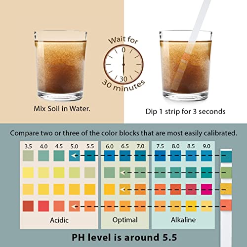 Soil Test Kit – 100 Soil pH Test Strips (3.5–9 Range) for Garden, Lawn & Indoor Plants – Easy At-Home Soil Testing