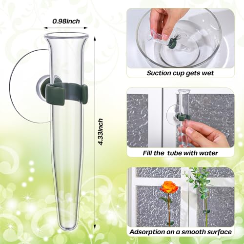10 Pcs Window Propagation Stations Suction Cups for Plant Lovers