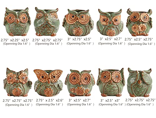 TOPZEA 10 Pack Succulent Planter Pots with Drainage Hole, Cute Owl Ceramic Small Planters Animal Tiny Flower Plant Pots Containers Indoor for Cactus, Herb, Home, Garden, Windowsill, Coffee Table Decor