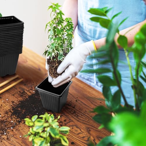 Anyumocz 100Pcs Square Plant Nursery Pots,3.5 Inch Plastic Pots with Drainage Holes,Reusable Seed Starter Pots for Flowers,Vegetables,Garden Planting,Transplanting,Succulents,Cuttings(Black) - color: 1 Color (Black)