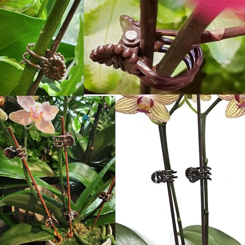 Plant Support Clips Reusable Garden Clips,100Pcs Medium Plant Clips