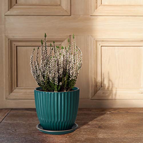 D'vine Dev 2-Pack Stoneware Planter Pots, 4.5/5.8 in, Deep Teal, 99-D-4 - color: Dark Blue Green
