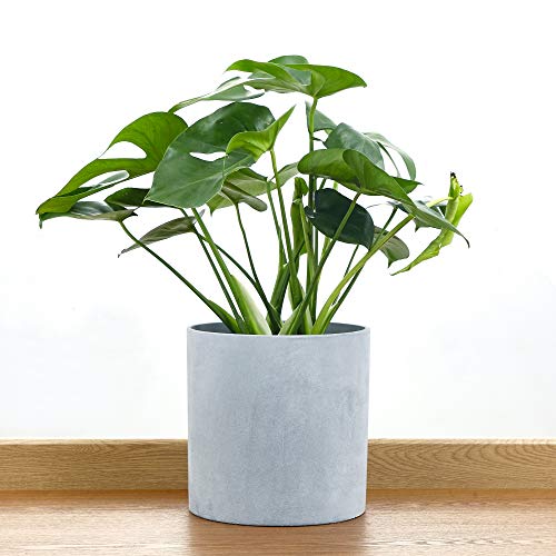 FaithLand 10 Inch Fiberstone Planter - Lightweight Modern Cylinder Plant Pot with Drainage Hole & Plug, Authentic Concrete Look, Gray - color: Gray, size: 10 inch