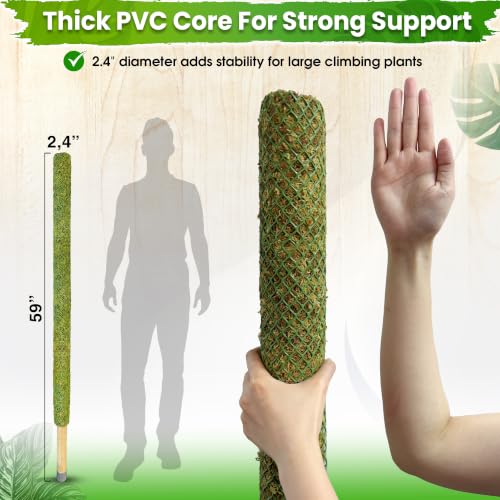 DUSPRO 59" Large Green Mesh Moss Pole Monstera Plant Support, (1pc., 59'') - size: 59" GREEN MESH MOSS POLE