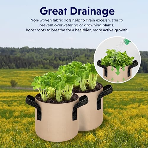 iPower 20-Pack 2 Gallon Grow Bags Heavy Duty Thickened Aeration Nonwoven Fabric Pots with Nylon Handles, for Planting Vegetables, Fruits, Flowers, Tan - color: 20-pack Tan, size: 2 Gallon