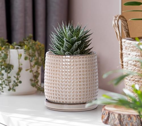 D'vine Dev Beaded Ceramic Pot with Saucer, 4 in, Light Brown, 27-C-Z-4 - color: Light Brown, size: 4.3 Inch