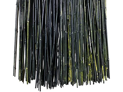 5.5 Feet Natural Thin Bamboo Stakes - Over 5 Feet Tall - Pack of 20 - Multiple Colors Available! (Black) - color: Black