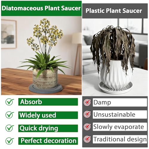 Diatomaceous Earth Plant Saucer, Round Pot Saucers, 2 Pcs 10 Inch - color: 2pcs Grey Medium