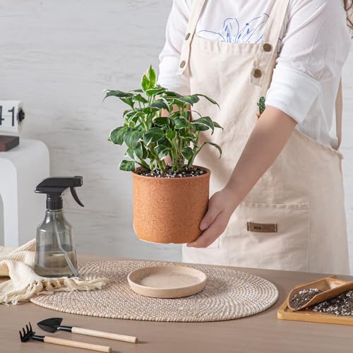 5.8 Inch Ceramic Plant Pot with Drainage Hole & Separate Saucer - color: Terracotta, size: 6 inch