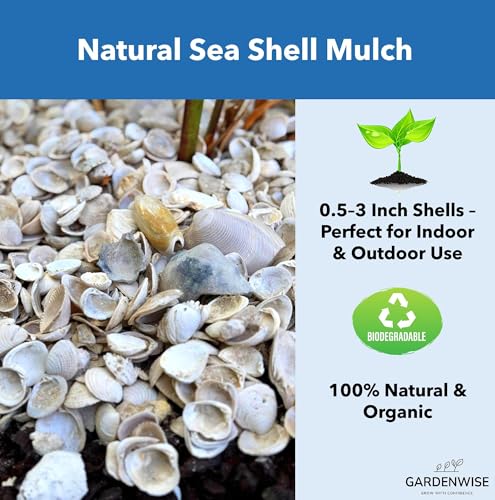 GARDENWISE Natural Organic Sea Shell Mulch for Gardens and Landscaping – Decorative and Nutrient-Rich, 0.5–3-Inch Shells, Perfect for Indoor and Outdoor Use (0.3 CF - 8 L - 9 QTS) - color: Sea Shell Mulch, size: 0.3 CF - 8 L - 9 QTS
