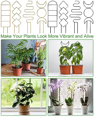 Small Indoor Trellis for Potted Plants, Pothos Plant Climber Support, Black - color: Black