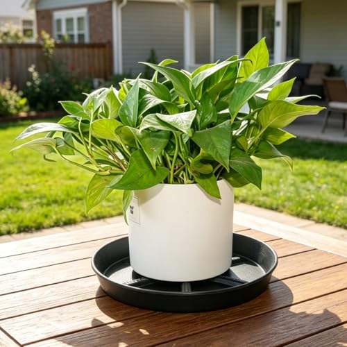 NIMYAU Plant Saucer 14 Inch 2 Pack Round,Thick Plastic with Elevated Center Plant Saucers, Excellent Drainage Drip Tray Catcher for Garden Planters - color: Black, size: 14" (4-Pack)