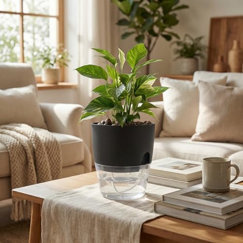 Vanavazon 6 Inch Self Watering Pots for Indoor Plants African Violet Pots - color: Black