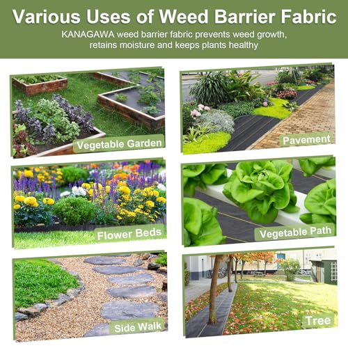 Custom Size 3.5oz Weed Barrier Landscape Premium Fabric-Heavy Duty Woven Ground Cloth with Superior Permeability Weed Control Convenient Design, No Cutting, No Messy Trimmings, Zero Waste - size: Custom Size