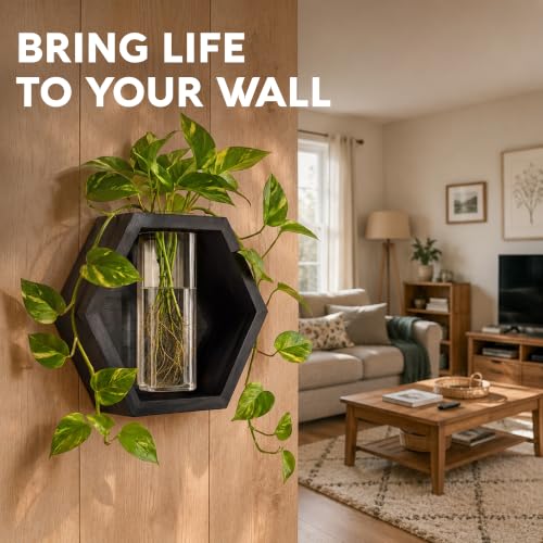 AVERGO Wall Plant Decor (1-Pack), Black Wood Indoor Wall Planter - color: Black
