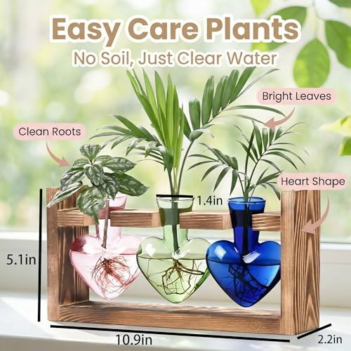 Plant Propagation Station 3Pcs Heart Vase with Wooden Stand Tabletop for Hydroponics Indoor Home Table Decor for Her Plant Lovers Women Mom Wife Daughter (Three Colors) - color: Three Colors