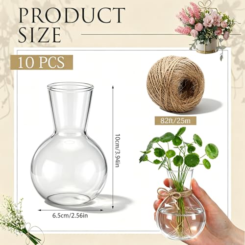 10 Pack Glass Plant Propagation Stations, Plant Terrarium Bulb Glass Propagation Vases with Hemp Rope, Clear Hydroponics Jars Gardening Gifts for Home Office Desk Decoration