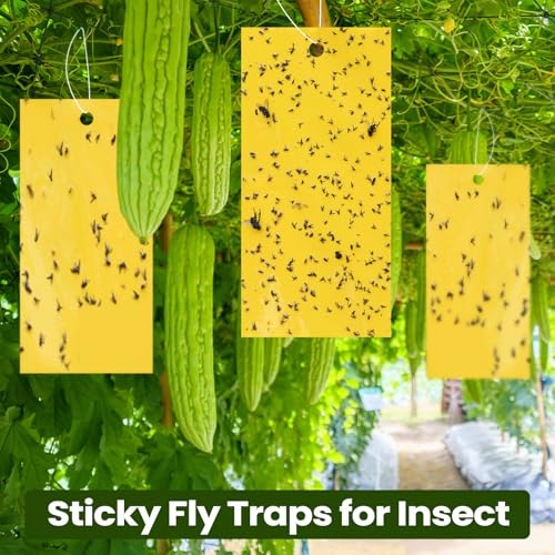 Qualirey 200 Pcs Yellow Sticky Traps for Gnats, 7.87 x 3.9 Inch - color: Yellow, size: 7.8 x 3.9 Inch