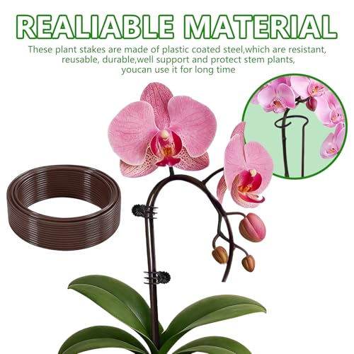 Plant Support Stakes with 100 Plant Clips, 65ft Plant Sticks, 800 Ties Brow - color: Brown, size: 65ft