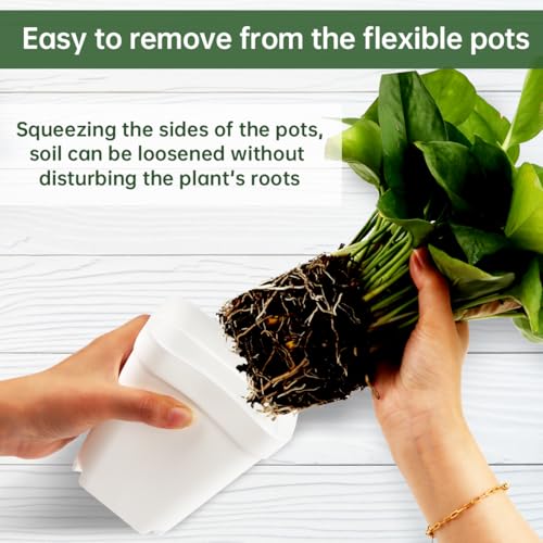 80 Pcs Nursery Pots 4 Inch, Plastic Seed Starting Pot with Drainage Holes, Small Sturdy Seedling pots for Planting, Succulents, Transplanting, Cuttings (White) - color: White, size: 4 Inch-80P