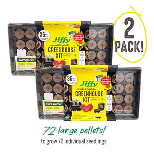 Ferry Morse Jiffy Tomato & Vegetable Seed Starter Tray Kit, 36 Cell 50mm Peat Pellets with Bonus SUPERthrive and Plant Labels - 2 Pack, 72 Pellets Total