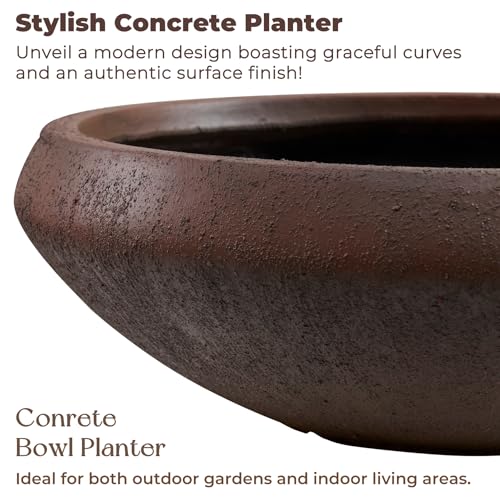 19"Dia x 6.3"H Weathered Concrete Lotus Bowl Planter, Large Succulent Pot - color: Rust, size: Medium